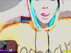Kitten Cam's unforgettable naughty nights