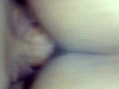 MI LOBA UNLEASHED