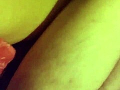 spicy webcam fun awaits now