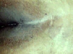 bbw lover's wild anal cravings
