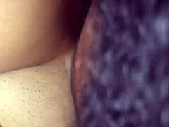 Layla's Lovers Savor Sweet Charms