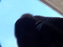 Allexsysi’s big ass dance mesmerizes