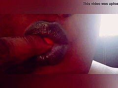 Dive into Shemale Passion Xzotic