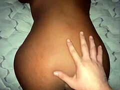 black beauty's bold raw discovery