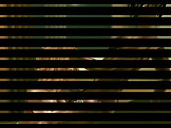 Siobhan's steamy IMVU climax