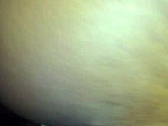 Shaved pussies in hardcore Xvids