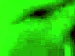Juelz and Pals in Steamy POV