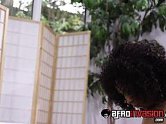 Ebony misty stone banged hard on white couch