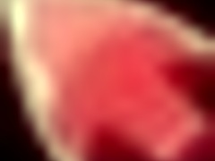 What Secrets Hide In Honeysun Hgame Deepthroat Scenes?