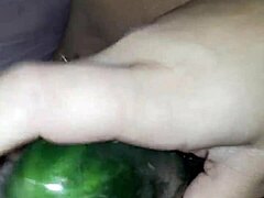 Mojadas' Steamy Cucumber Adventure