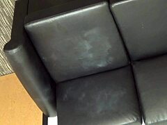 Zelda's intense sofa tryout