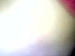 Aleycovy Sensual Delights