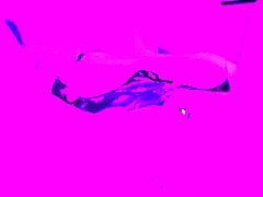 Milf Teases Solo In Video