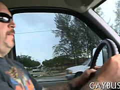 Gay Heat on the Move