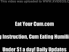 my wild femdom adventure awaits