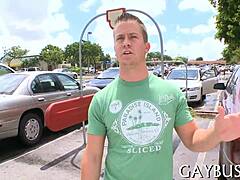 Bold gay passion storm awaits