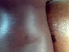 European BBW’s rough bang