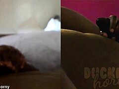 Black bull enjoys a handjob