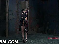 Slutty Babe's Slit Tormented in Hard Contest