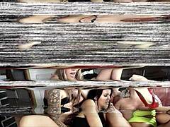 Cheeky Gangbang for Paul’s Birthday