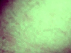 My Girlfriend's Pussy Licked in Private Moment