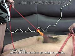 my japanese mistress mero dominates with cbt and facesitting