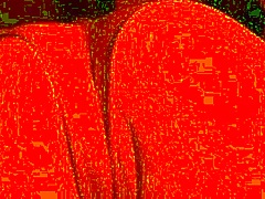 Face Down Fucking Transmanpussy in Close-Up