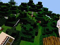 first time playing minecraft, can you tell lol