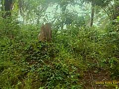 Bush Hot Sex With BBW King’s Wife During Village Ritual Stuns Me