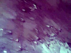 irreversible horror porn, demente dominates slave, wanna see?