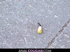 fortunate stepson finally gets to anal bang his stepmom on the sofa