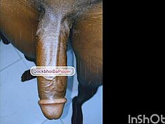 Qockbhoidapipper made a fan tribute with big black cock action. It’s a wild e58 clip!