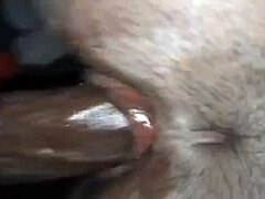 stepmom and stepson caught in a sneaky affair