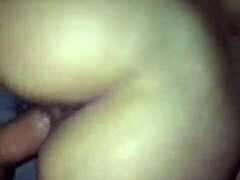 Rabo Enorme Sentando with Big Ass Brunette