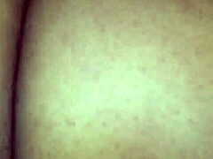 I can't stop riding this fat BBW in reverse cowgirl