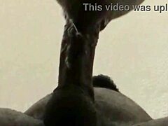 He was finishing and I didn’t stop sucking for that huge load.