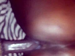 pete fucks alexia's big black ass in close detail