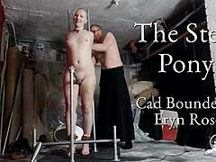 hey, check out this steel pony setup with bondage leading to wild multiple orgasms
