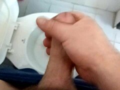 Paja matutina