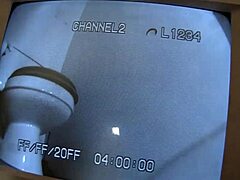 Dayna Vendetta Sucks A Big Thick Black Dick Through Her Glory Hole