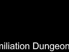 humiliation dungeon survivors game demo