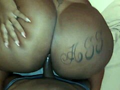 Hey, she was shy at first but then that fat Latina teen fucked so good with big black cock! 😏