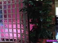 Banging Family - Blonde Gf With Small Tits Gives Blowjob And Facial In Pov
