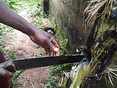 Intriguing Encounter With Plantain In Lush Garden