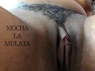 Mocha Lamulata Dominates with Fierce Moves