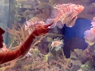 Aliya’s daring aquarium adventure unfolds