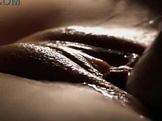 Amateur Soaked in Joslin's Charm