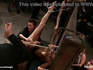 BDSM Lesbians in Public Display