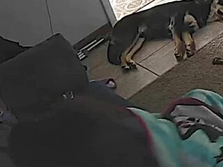 Hidden Cam Catches Wife Riding My Dick