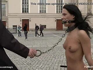 PUBLIC KINKY VIBES